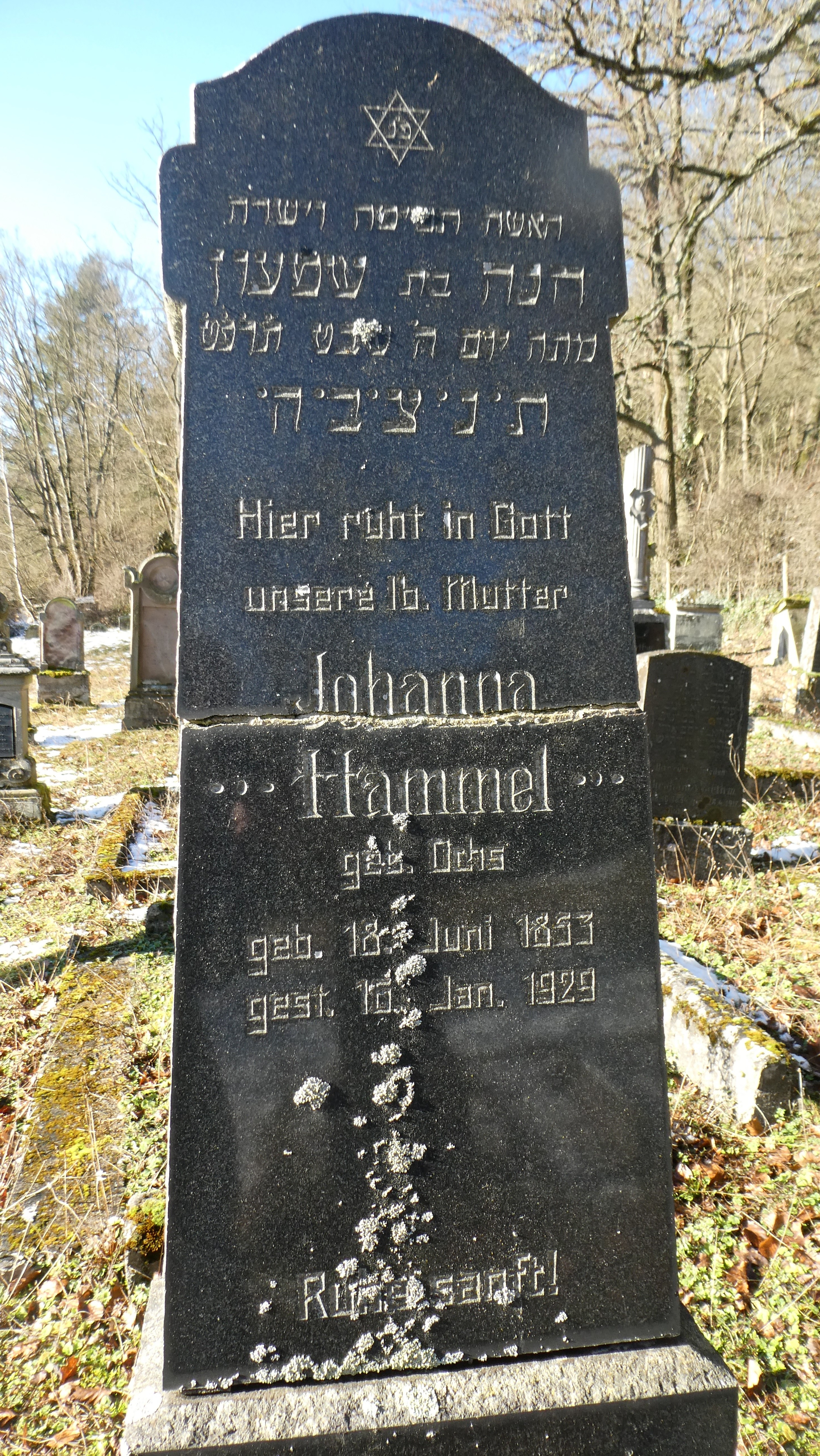 Grab Johanna Hammel