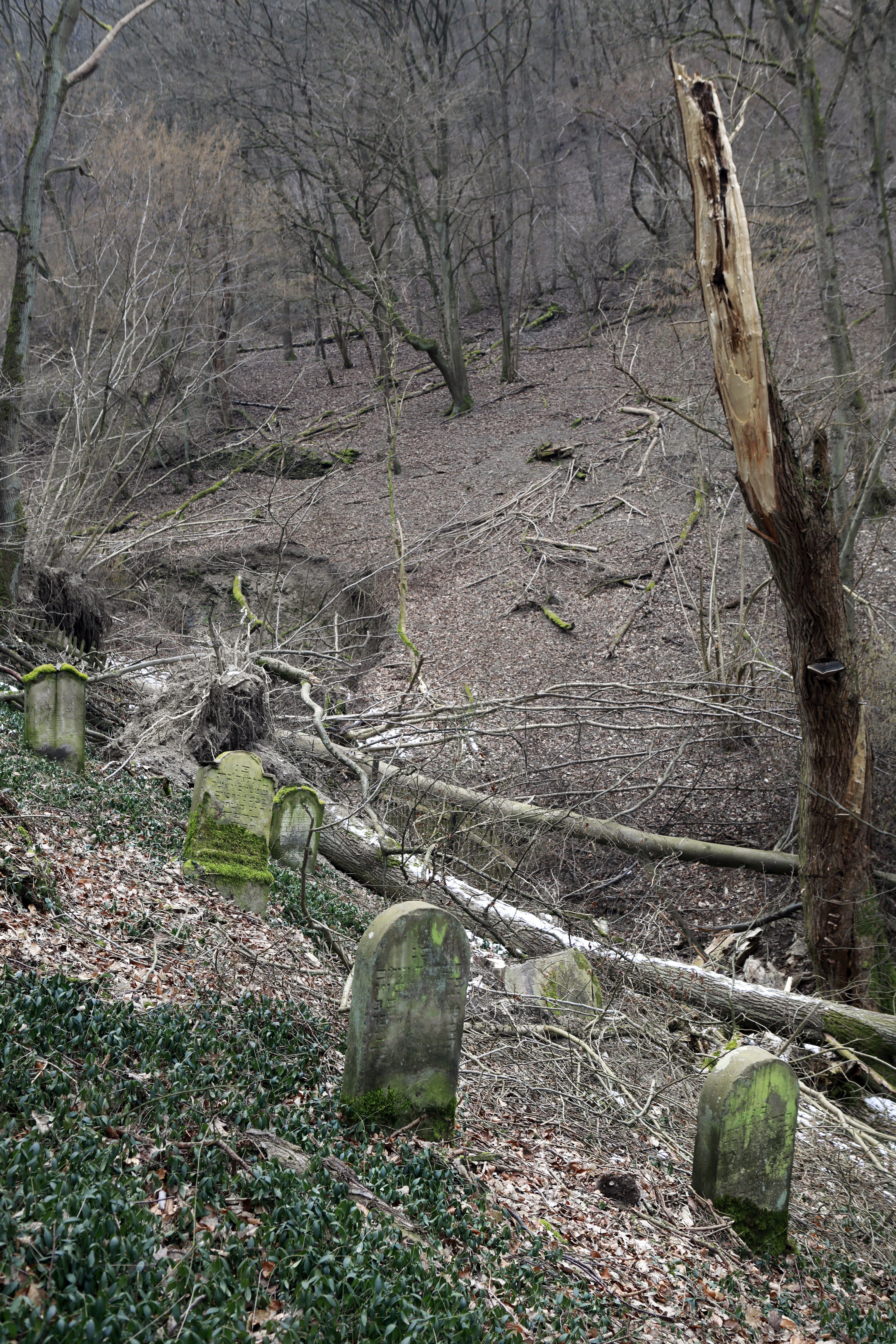 "Guter Ort"? Jüdischer Friedhof in Holzfeld