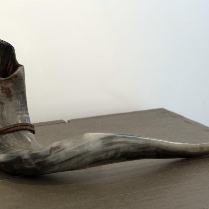 Schofarhorn
