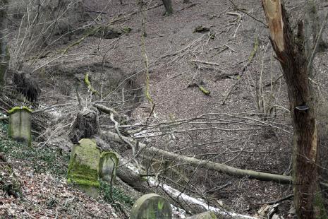 "Guter Ort"? Jüdischer Friedhof in Holzfeld
