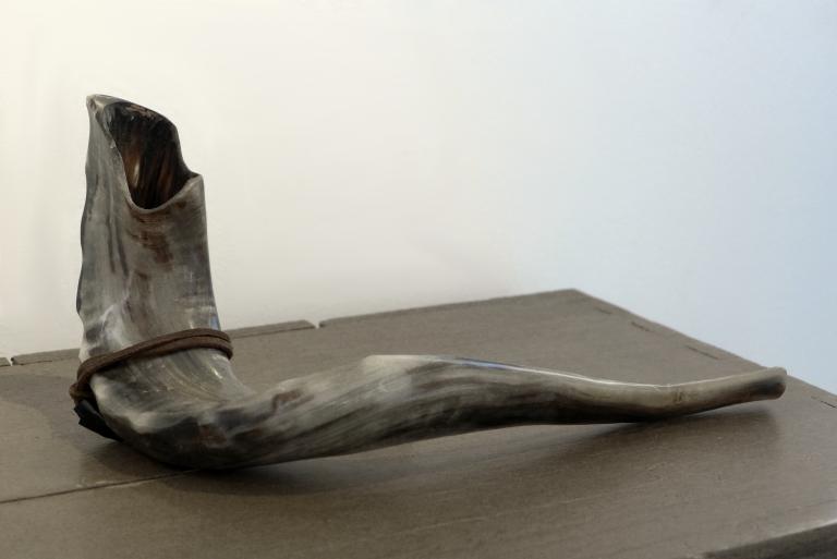 Schofarhorn